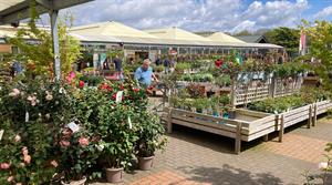 Garden centre